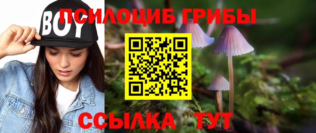 Ангарск  Галлюциногенные грибы прущие грибы  Вход с VPN 